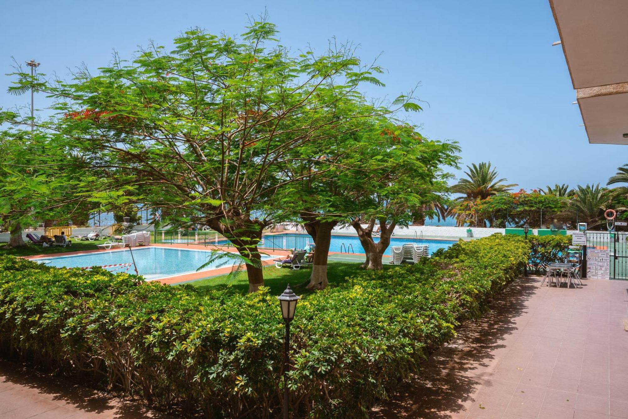 Go2Tenerife Apart'Dida Pool & First Line Of The Sea Los Cristianos  Luaran gambar